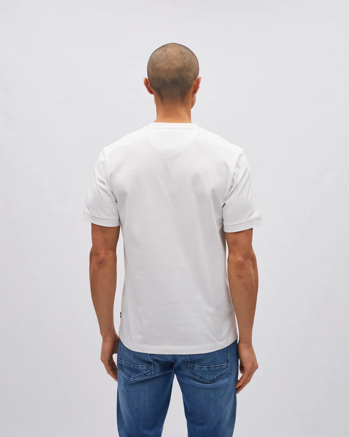 Stanley Tee Antarctic