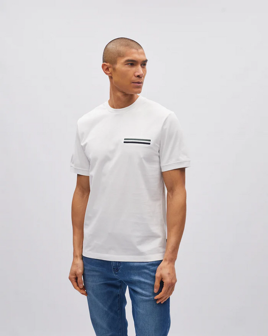 Stanley Tee Antarctic